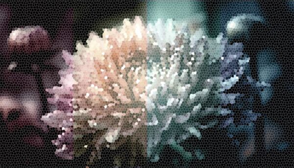 Immagine Header